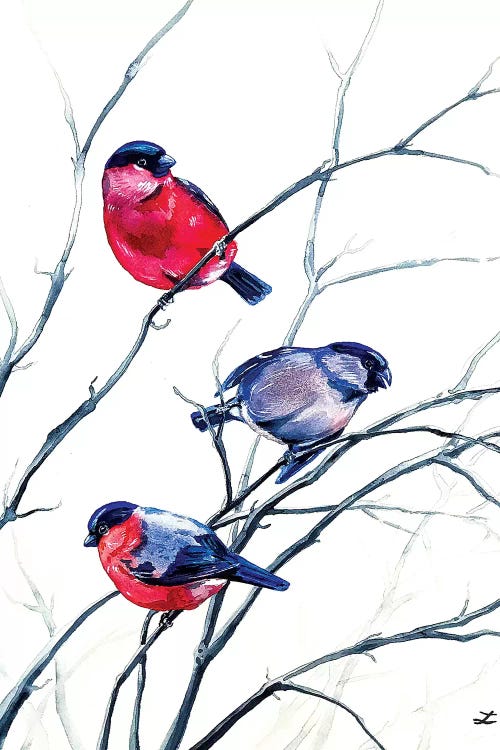 Eurasian Bullfinches Watercolor  