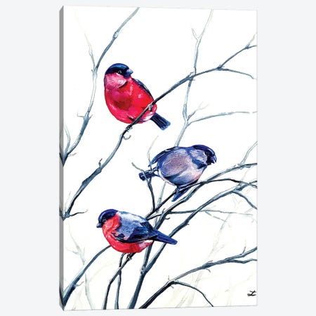 Eurasian Bullfinches Watercolor   Canvas Print #ZDZ142} by Zaira Dzhaubaeva Canvas Wall Art
