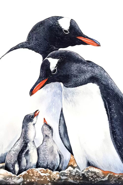 Happy Gentoo Family  by Zaira Dzhaubaeva wall art