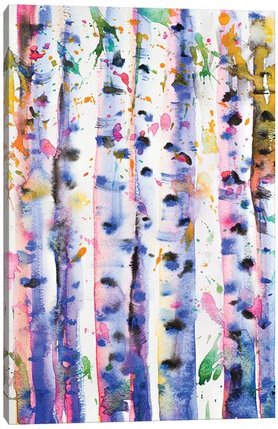 Birch Trees Canvas Art Print - Zaira Dzhaubaeva