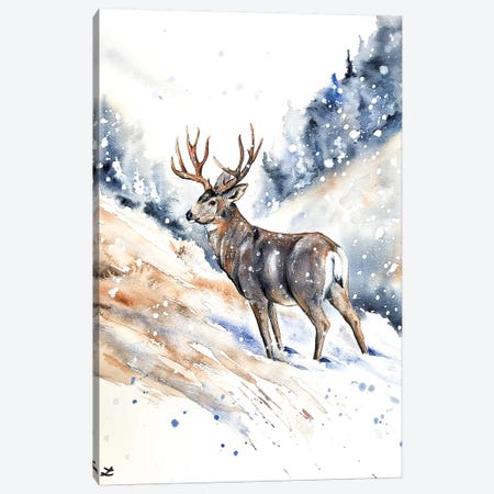 Mule Deer Buck Watercolor  Canvas Print #ZDZ153} by Zaira Dzhaubaeva Art Print