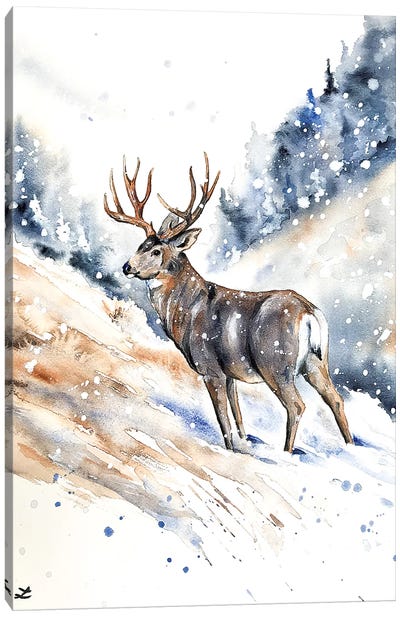 Mule Deer Buck Watercolor  Canvas Art Print - Zaira Dzhaubaeva