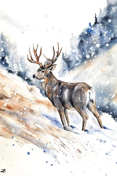 Zaira Dzhaubaeva: Mule Deer Buck Watercolor  by Zaira Dzhaubaeva