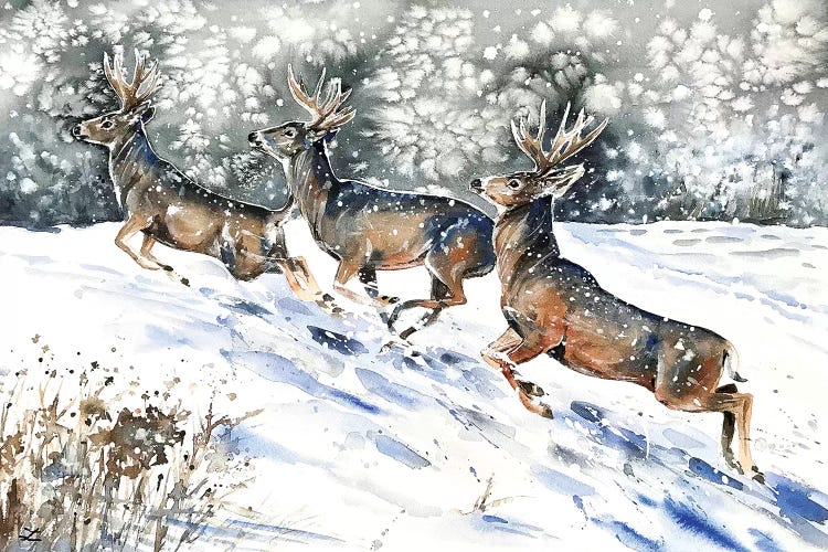 Mule Deer on the Run  by Zaira Dzhaubaeva wall art