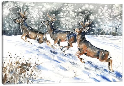 Mule Deer on the Run  Canvas Art Print - Zaira Dzhaubaeva