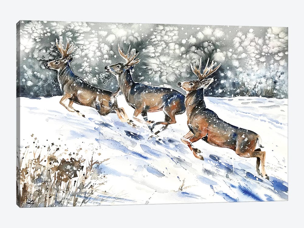 Mule Deer on the Run  by Zaira Dzhaubaeva 1-piece Canvas Art