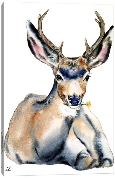 Resting Deer Watercolor   Canvas Art Print - Tan Art