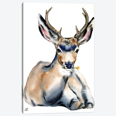 Resting Deer Watercolor   Canvas Print #ZDZ159} by Zaira Dzhaubaeva Canvas Art Print