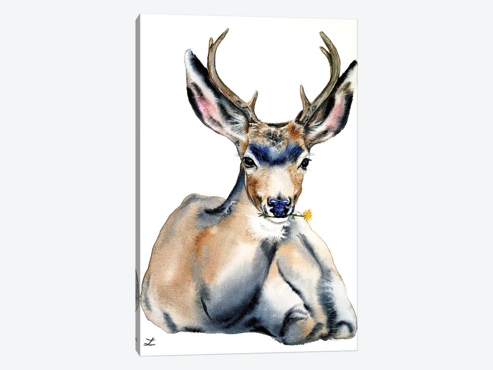 Resting Deer Watercolor   by Zaira Dzhaubaeva 1-piece Canvas Art Print