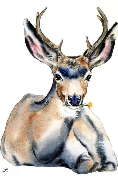 Zaira Dzhaubaeva: Resting Deer Watercolor   by Zaira Dzhaubaeva