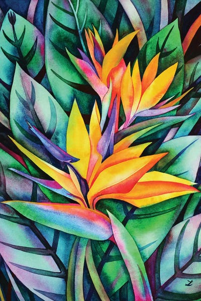 Birds Of Paradise: Bird Of Paradise by Zaira Dzhaubaeva