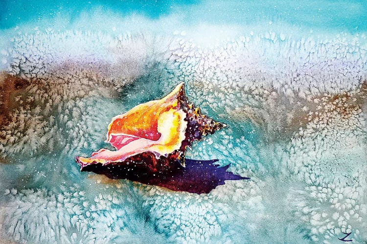 Shell   by Zaira Dzhaubaeva wall art