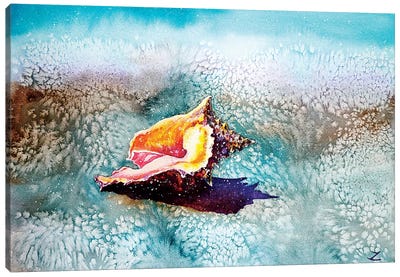Shell   Canvas Art Print - Cottagecore Goes Coastal