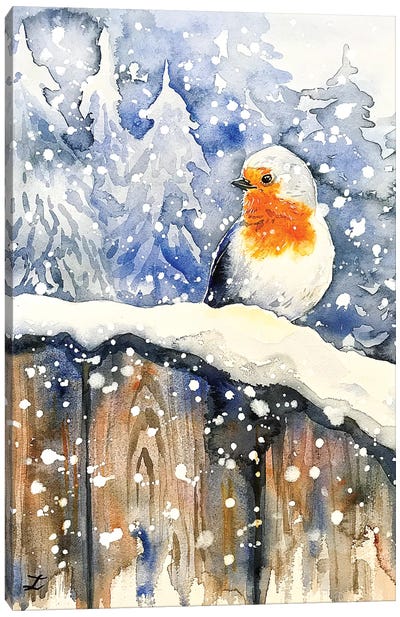 Tales of the Robin Watercolor  Canvas Art Print - Rustic Winter