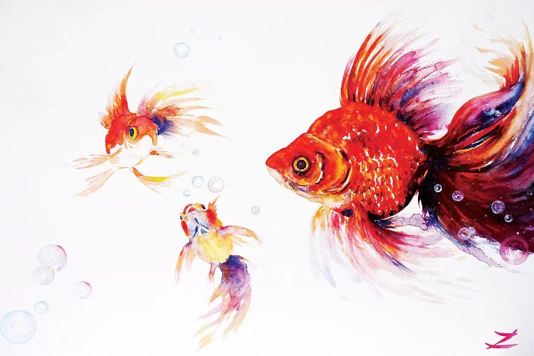 Three Goldfish  