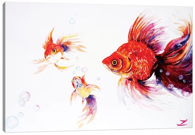 Three Goldfish   Canvas Art Print - Goldfish Art