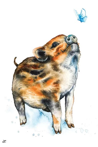 Wild Boar Piglet and Butterfly   by Zaira Dzhaubaeva art print
