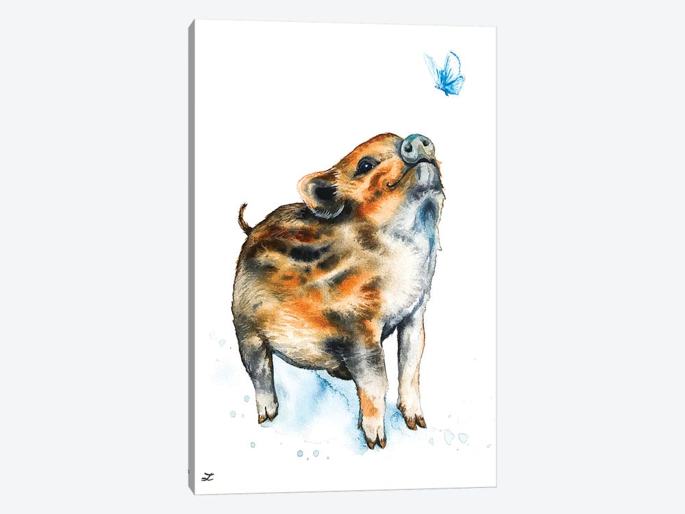 Wild Boar Piglet and Butterfly   by Zaira Dzhaubaeva 1-piece Canvas Print