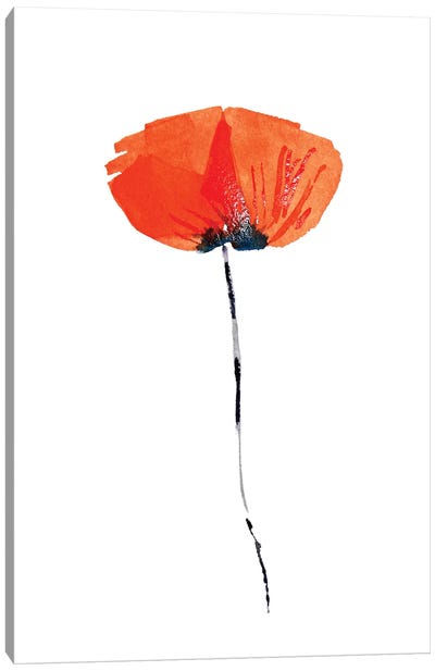 Lonely Poppy Canvas Art Print - Minimalist Flowers