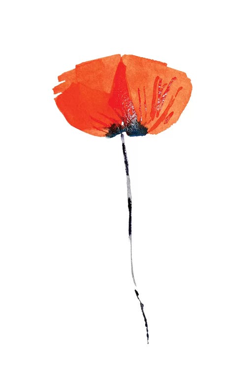 Lonely Poppy by Zaira Dzhaubaeva wall art
