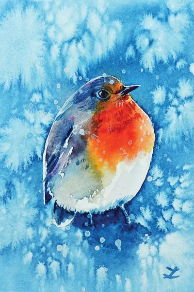 Robins: Robin In The Snow by Zaira Dzhaubaeva