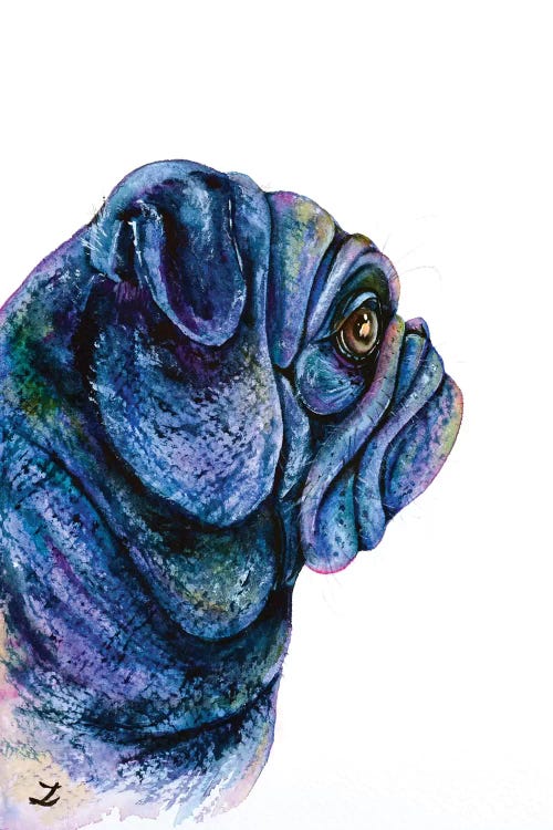 Black Pug by Zaira Dzhaubaeva wall art