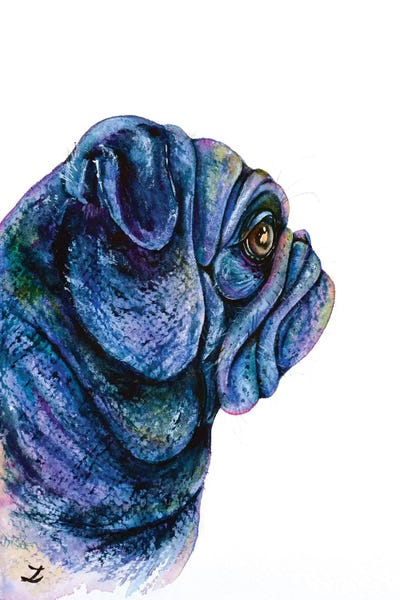 Pugs: Black Pug by Zaira Dzhaubaeva