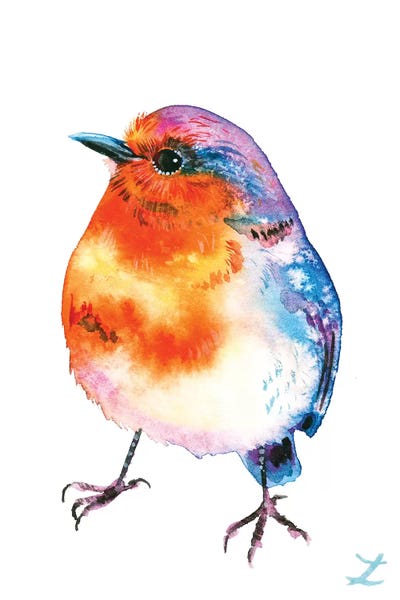 Robins: Cheerful Robin by Zaira Dzhaubaeva