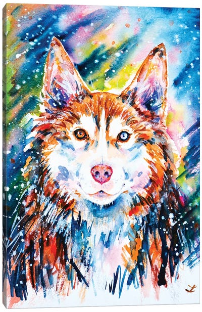 Husky Canvas Art Print - Siberian Husky Art