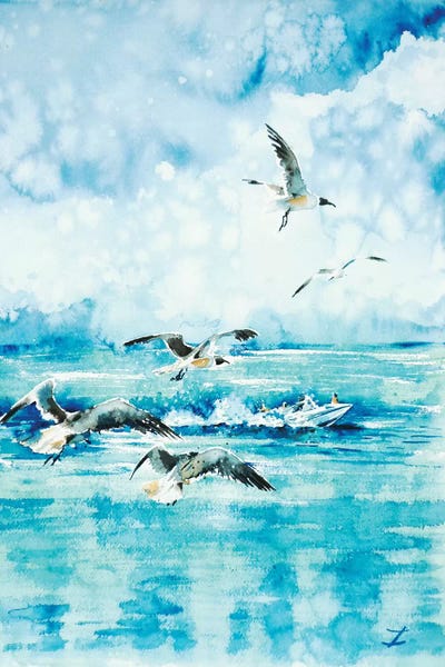 Calm: Black-Headed Seagulls At Seven Seas Beach by Zaira Dzhaubaeva