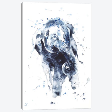 Elephant Calf Canvas Print #ZDZ191} by Zaira Dzhaubaeva Canvas Print