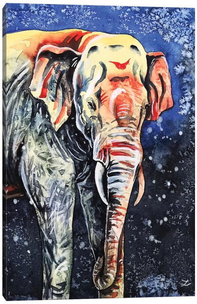 Night Elephant Canvas Art Print - Zaira Dzhaubaeva