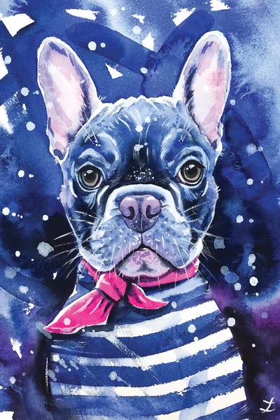French Bulldogs: Frenchie by Zaira Dzhaubaeva