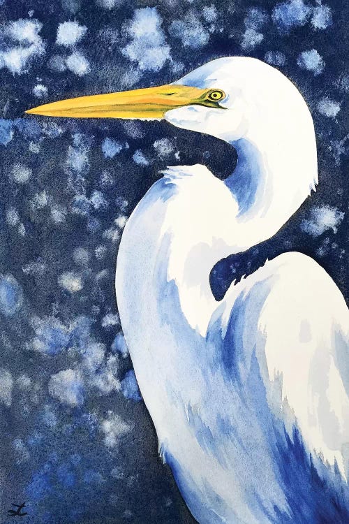 Winter Egret