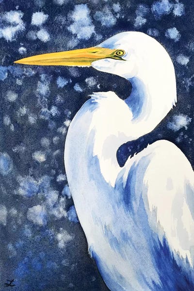 Egrets: Winter Egret by Zaira Dzhaubaeva