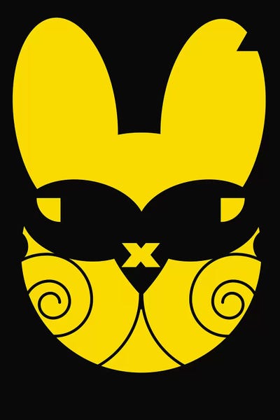 Cool Rabbit by Zaira Dzhaubaeva canvas print