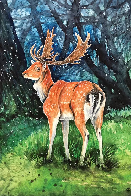 Fallow Deer Buck by Zaira Dzhaubaeva wall art