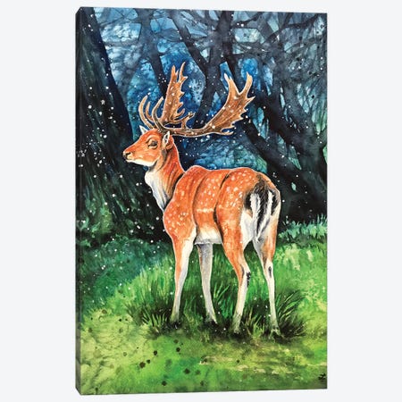 Fallow Deer Buck Canvas Print #ZDZ210} by Zaira Dzhaubaeva Canvas Wall Art