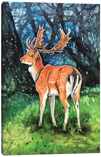 Fallow Deer Buck Canvas Art Print - Zaira Dzhaubaeva