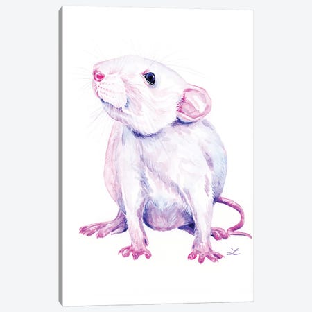 White Rat Canvas Print #ZDZ215} by Zaira Dzhaubaeva Canvas Print