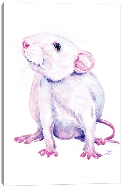 White Rat Canvas Art Print - Rats