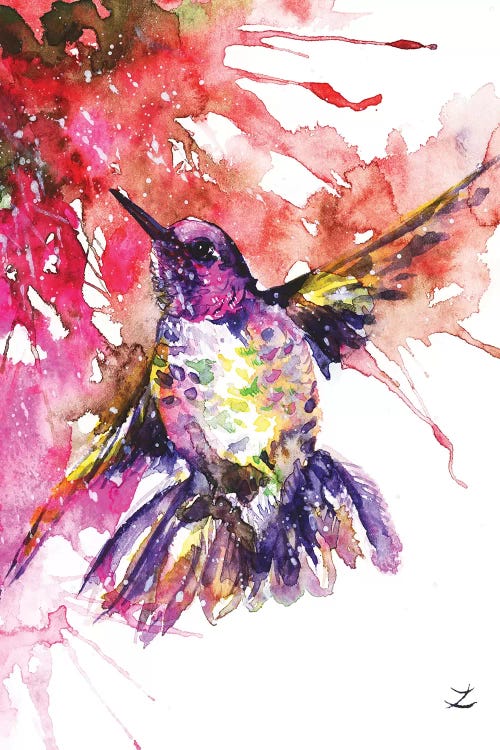 Hummingbird