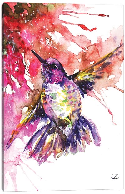 Hummingbird Canvas Art Print - Zaira Dzhaubaeva