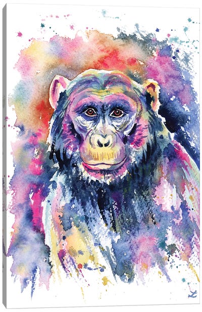 Chimpanzee Canvas Art Print - Zaira Dzhaubaeva