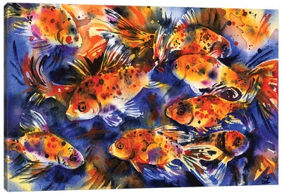 Shubunkin Goldfish Canvas Art Print - Goldfish Art