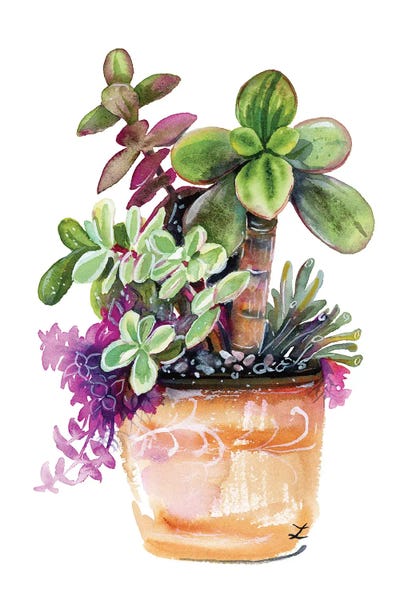 Crassula Collection by Zaira Dzhaubaeva framed canvas print