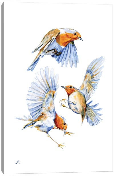 Three Robins Canvas Art Print - Zaira Dzhaubaeva