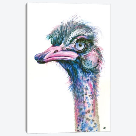 Blue-Eyed Ostrich Canvas Print #ZDZ22} by Zaira Dzhaubaeva Canvas Art Print