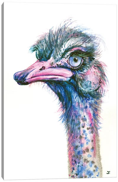 Blue-Eyed Ostrich Canvas Art Print - Ostrich Art