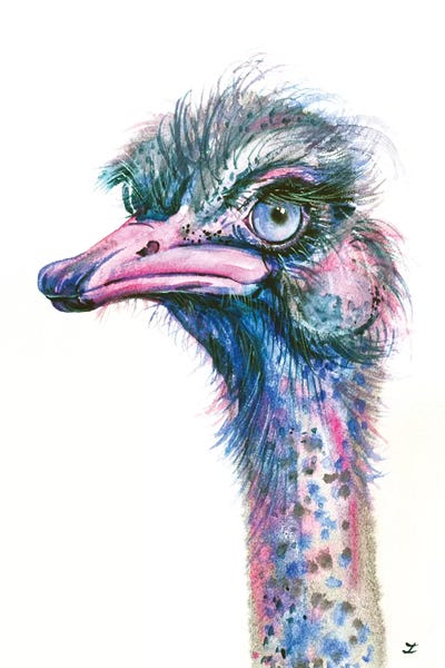 Ostriches: Blue-Eyed Ostrich by Zaira Dzhaubaeva